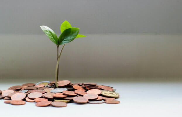 Sustainable Business Growth Strategies You Can Use