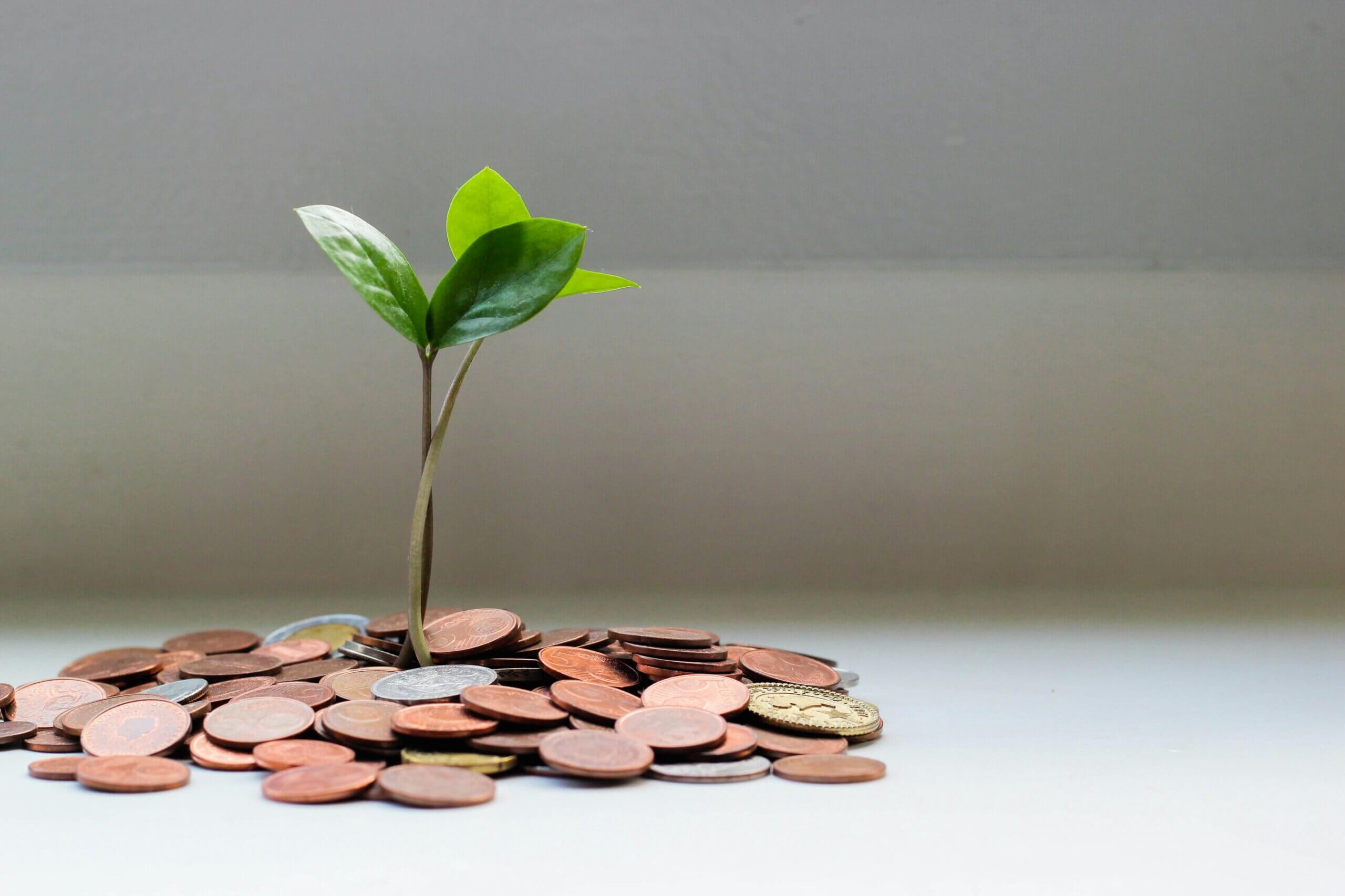 Sustainable Business Growth Strategies You Can Use